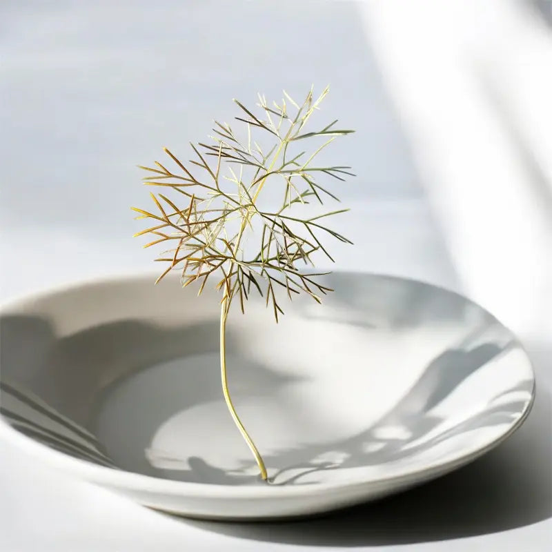 Micropousses de Fenouil bronze — Casa Verde Microfarm