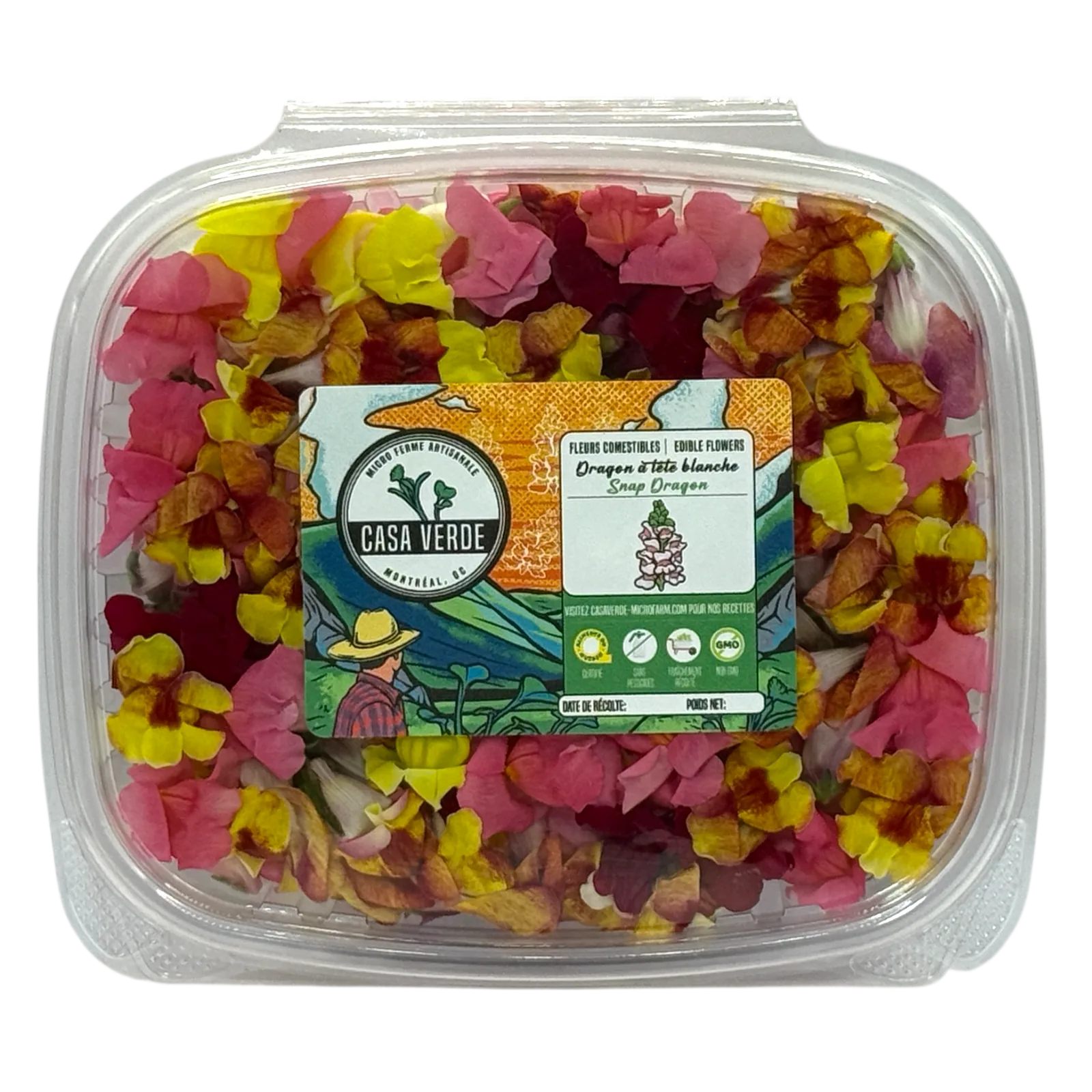 Micropousses de Fleurs de muflier comestibles — Casa Verde Microfarm