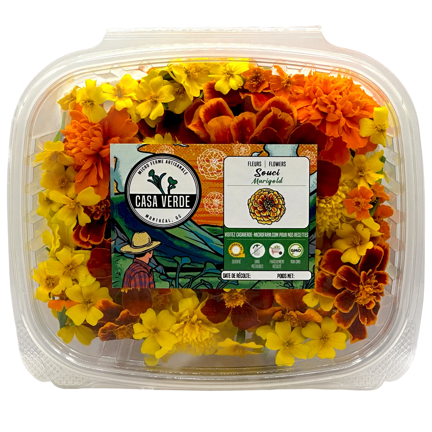 Micropousses de Soucis mélangés de fleurs comestibles — Casa Verde Microfarm