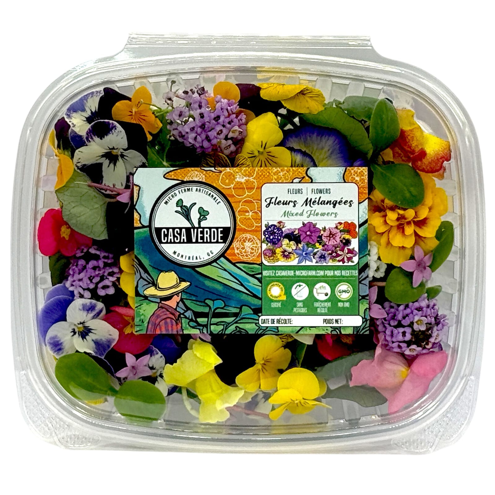 Micropousses de Fleurs comestibles mélangées — Casa Verde Microfarm