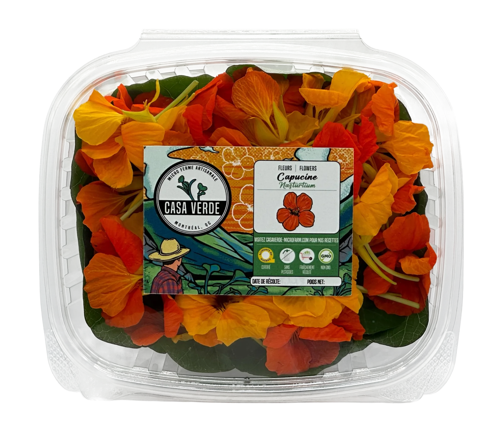 Micropousses de Mélange de fleurs comestibles de capucine africaine — Casa Verde Microfarm