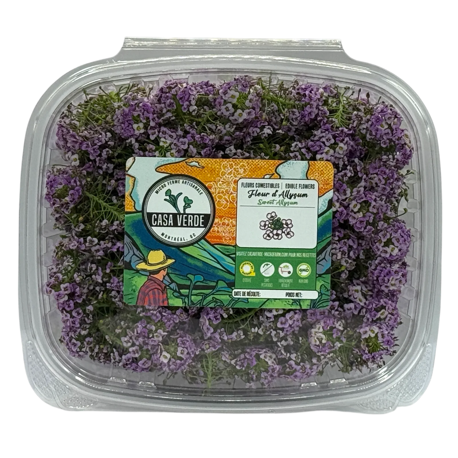Micropousses de Fleurs comestibles d'alyssum odorant — Casa Verde Microfarm